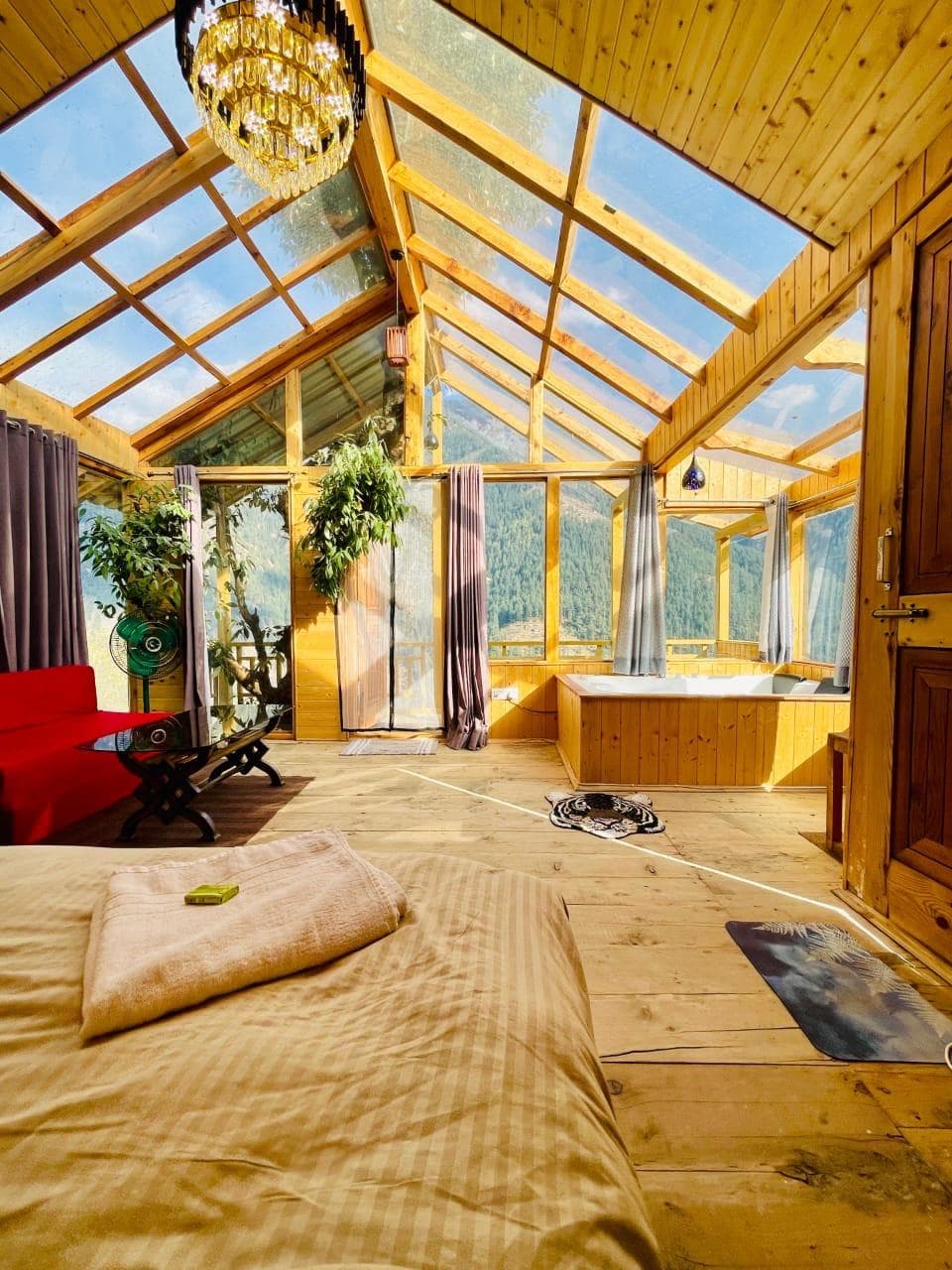 Jibhi Mountain Pine — photo 3