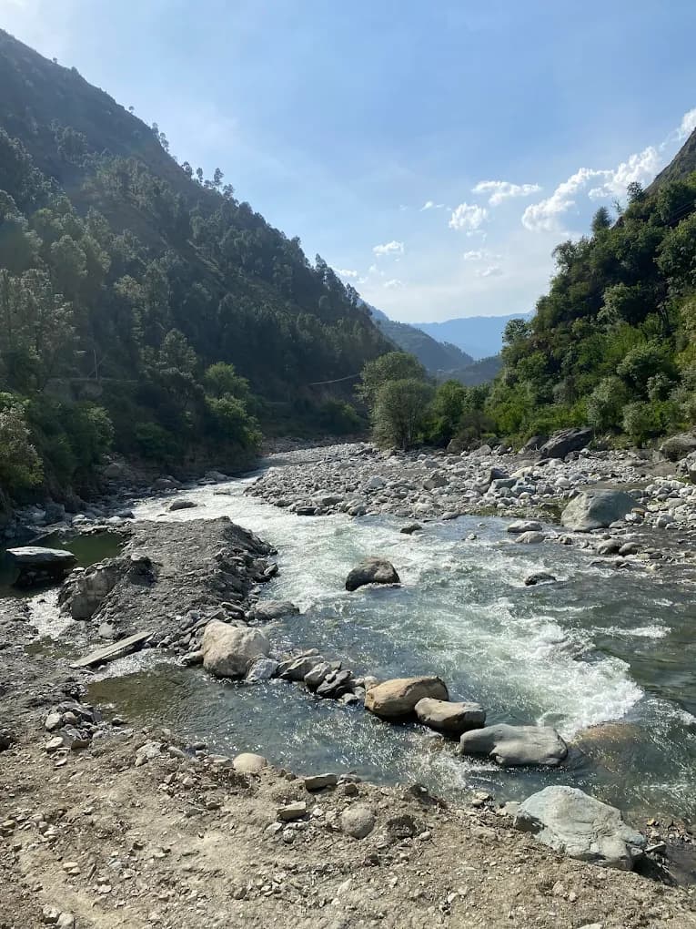 Jibhi Sunshine Cafe photo 6