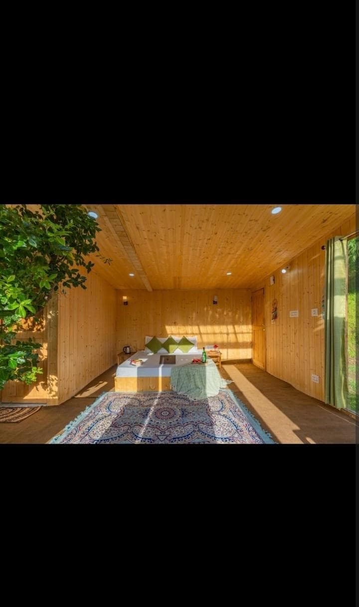 Jibhi Mountain Pine — photo 6